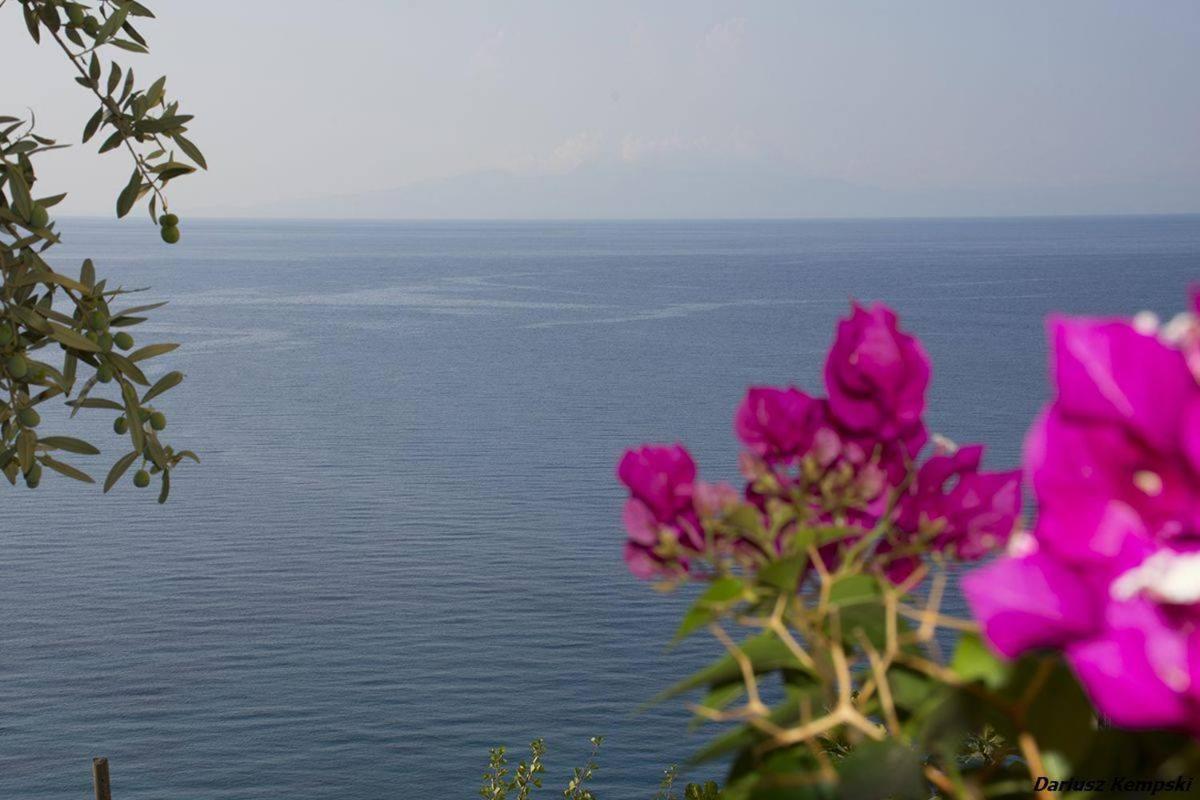 Blue View Ξενοδοχείο Κηπαρό Εξωτερικό φωτογραφία