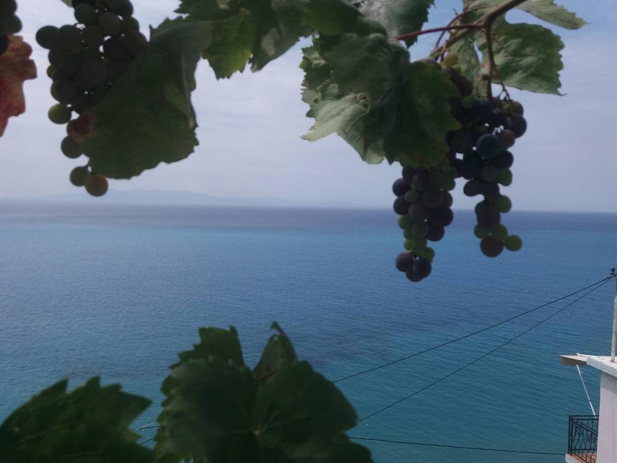 Blue View Ξενοδοχείο Κηπαρό Εξωτερικό φωτογραφία